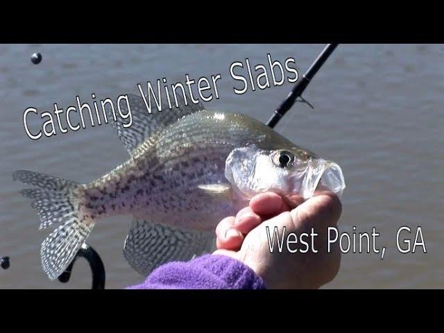 Crappie Fishing West Point Lake, GA with Joey Mines