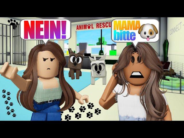 ich WÜNSCHE  mir einen HUND  in BROOKHAVEN  Roblox Roleplay Story