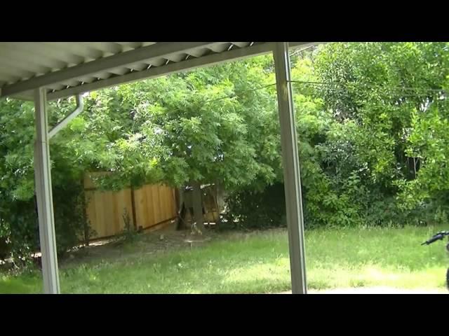 Time Lapse of Backyard