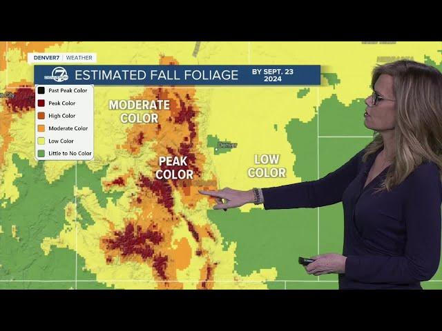 Colorado fall colors 2024: Here’s what the fall foliage forecast looks like