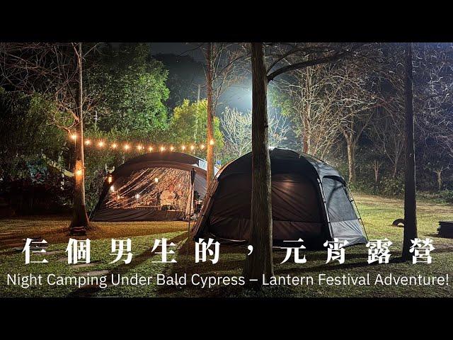 欸冷露營｜夜衝小白來啦！低海拔也有櫻花陪你露營！滿地落羽松的元宵露營｜苗栗南庄 鳳凰谷露營區