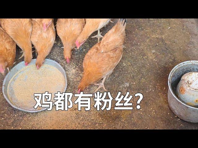 鸡鸡公主居然也有粉丝，喜得水库怪物。