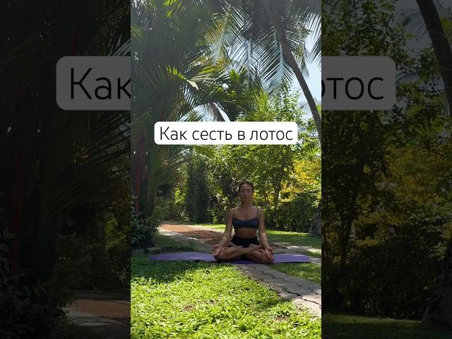 Небольшая подборка асан для подготовки к Падмасане #йога #падмасана