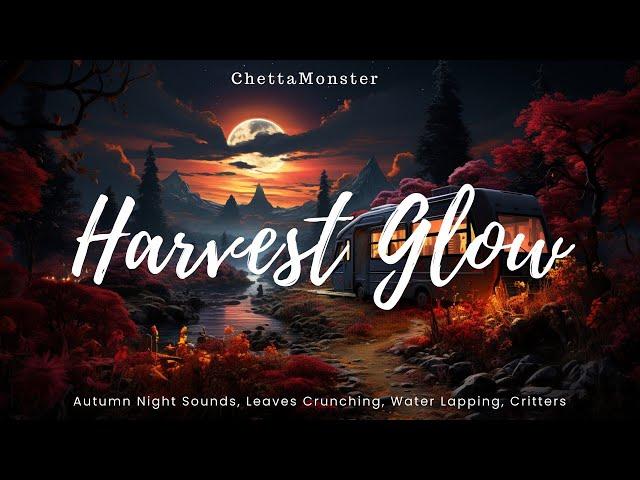 Misty Autumn Ambience | Harvest Glow | Ambient Worlds [1hr+]