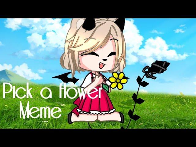 Pick a flower | Meme | Nostalgia Zone |