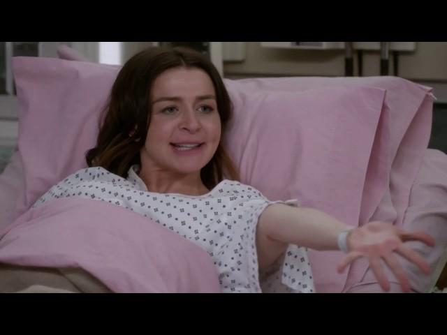 Amelia Goes Into Labor - Grey's Anatomy S16E21