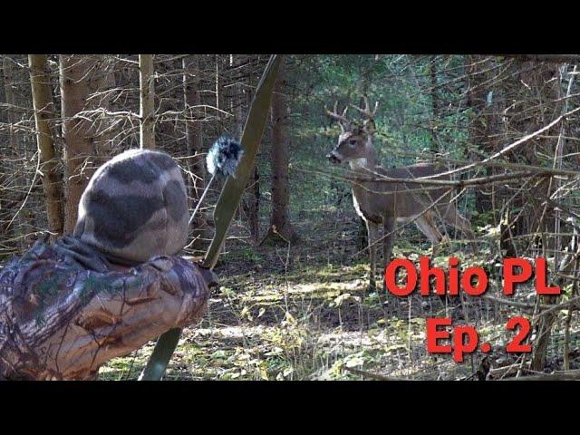 FULL DRAW at 12 YARDS | Deer Hunting 2021