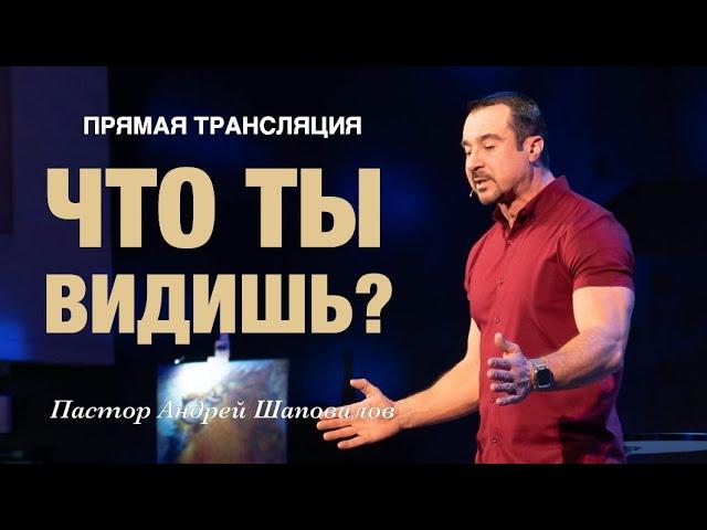 Прямая Трансляция - «Что ты видишь?» Пастор Андрей Шаповалов (03/11/24)