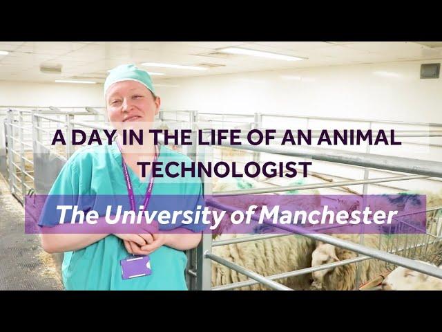 A day in the life of an animal technologist