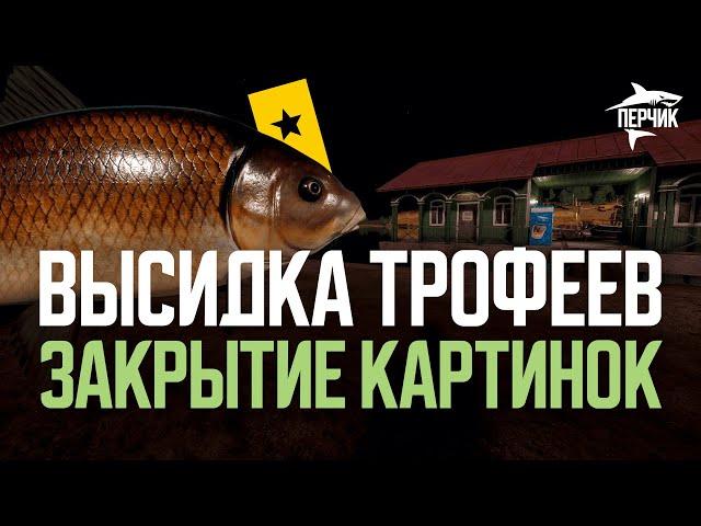 Буффало Черный, Елец, Карп Динкенбюльский ● Русская рыбалка 4 ● Перчик РР4