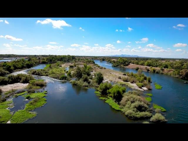 Feather River - Palermo