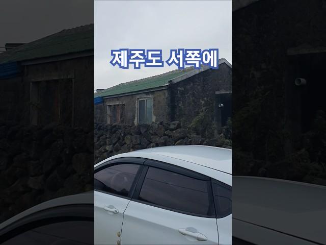 제주도 돌집을 찾아서