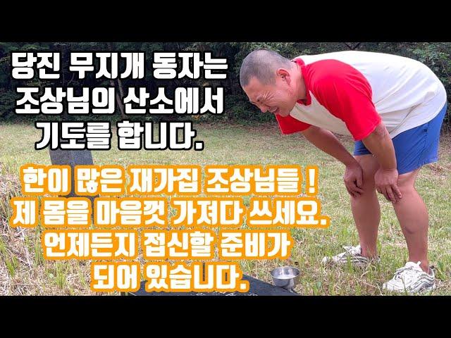당진  무지개 동자는 조상님의 산소에서 기도를 합니다. ️ 010 4659 8019 각종 굿 치성 터 고사 전문 접신 잘 되는 무당 영검한 무당