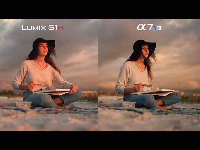 Sony A7Siii vs Panasonic LUMIX S1H | Comparison Footage