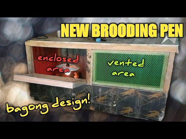 NEW BROODING PEN | Free Range Backyard Farming Part 3 | D' Architects Hobby