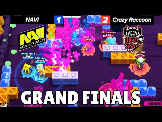 CRAZY PRO MATCH GRAND FINALS - NAVI vs Crazy Racoon