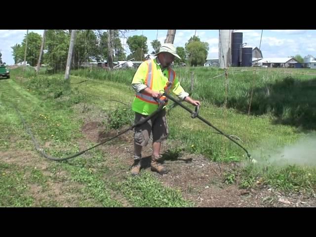 Steam Weeding for Weed Control in an Organic Hopyard