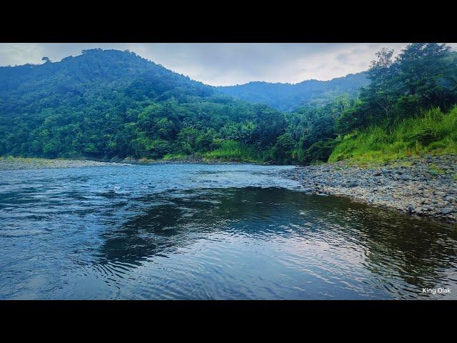 FARM LOT FOR SALE WITH AGOS RIVER FRONT - TCT TITLE 150 PESOS ONLY PER SQM WATCH #VLOG249