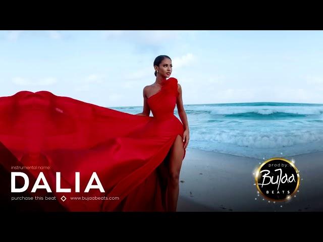 " Dalia " Oriental Reggaeton Beat Instrumental | Prod by BuJaa BEATS