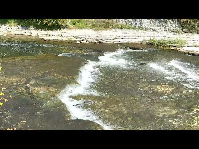 Salmon Run at Port Hope - September 24, 2024