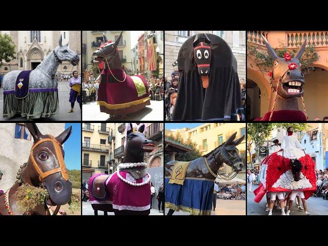 Barongan Keledai dari Spanyol Si Mulassa (11 Mulassa Keledai Terunik dari Barcelona)