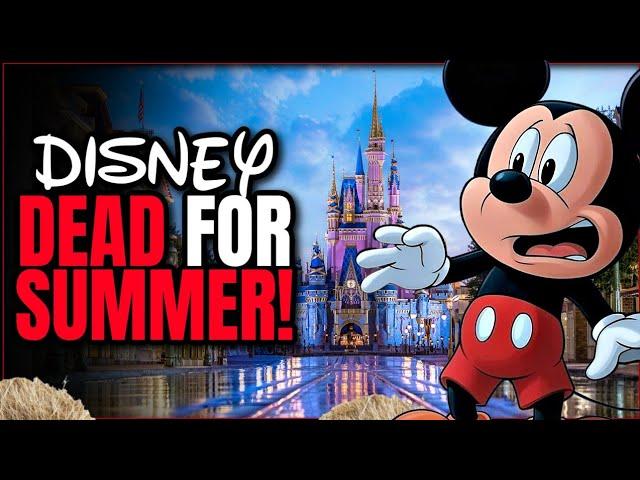 Disney World Attendance DROPPING for Summer 2025: See the Data for Magic Kingdom and MORE!