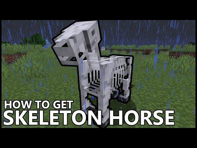 How To Get A SKELETON HORSE In MINECRAFT