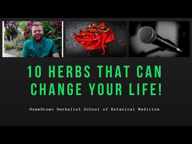 10 Plants That Can Change Your Life: Herbal Medicines In Your Own Backyard!