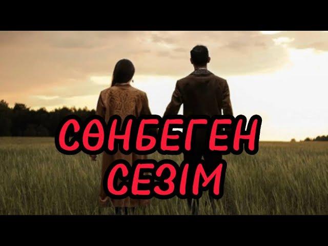 СӨНБЕГЕН СЕЗІМ (аудиокітап)