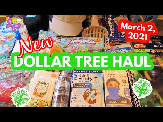 Awesome New DOLLAR TREE HAUL!  March 2, 2021  #LeighsHome