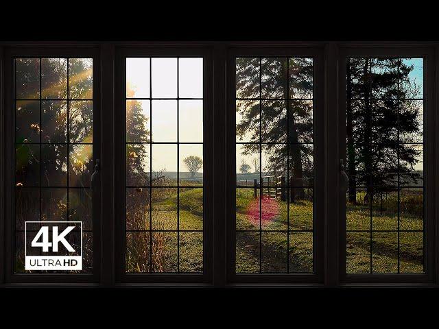 4K Countryside morning sunrise Ambience Window view with Nature Sounds -  Relaxing, Calming, Sunset