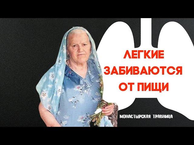Легкие забиваются от пищи | Один из самых главных органов