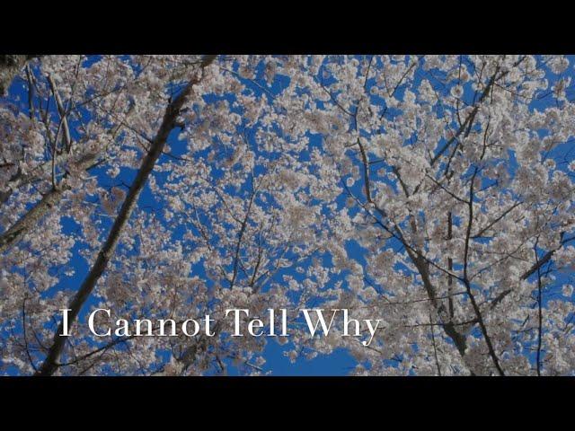 255 SDA Hymn -  I Cannot Tell Why  (Singing w/ Lyrics)