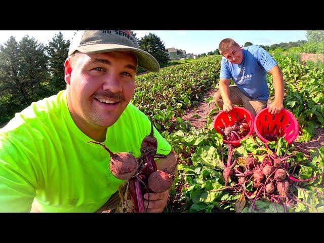 2023 HUGE VEGETABLE HARVEST