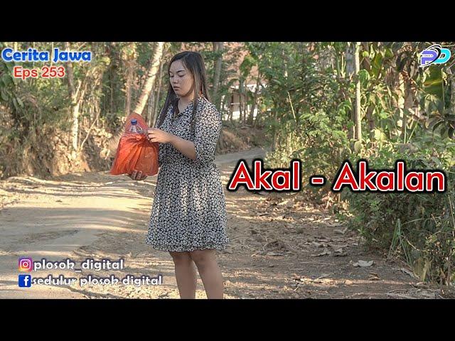 AKAL - AKALAN || Eps 253 || Cerita Jawa