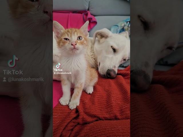 Сонное царство ️