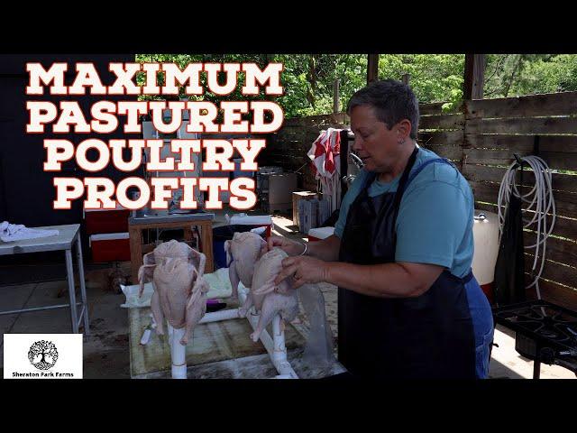 How We Turn A 4 Pound Chicken Into $38 - Processing Pastured Poultry