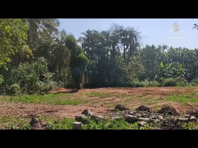 Property id # 423 / Commercial land 11 guntas for sale