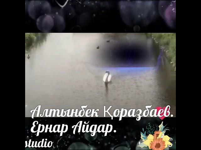Менің дағы бір аққуым бар шығар. Алтынбек Қоразбаев. Ернар Айдар.