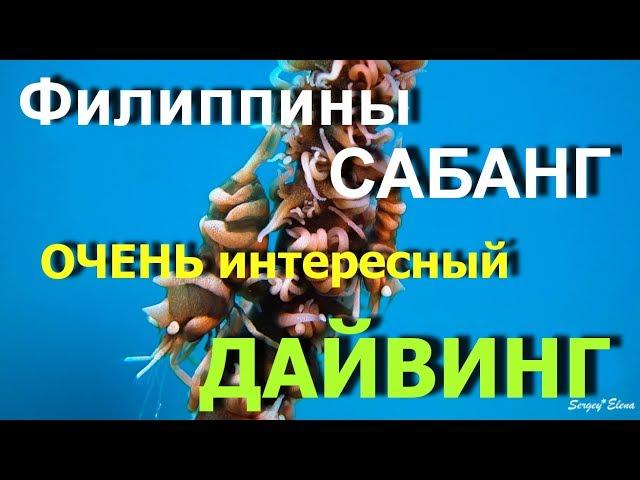 РЕКОМЕНДУЮ - Непредсказуемый дайвинг в Сабанге, Филиппины ( HD ) Scuba diving Sabang Sony RX-100