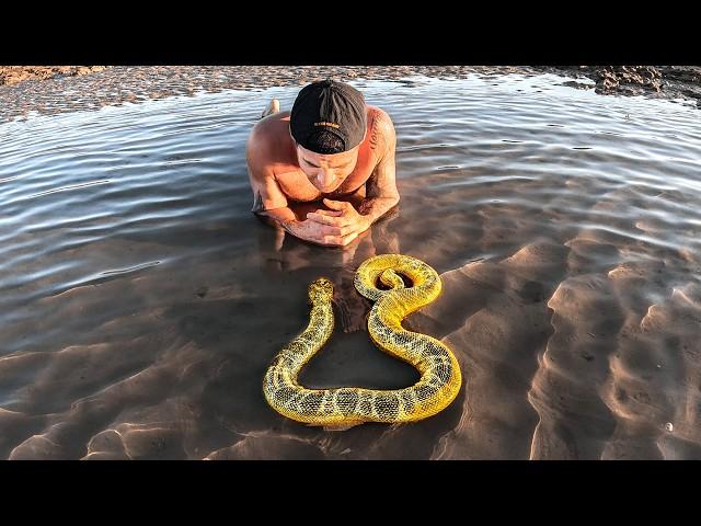 Exploring For Venomous Sea Animals In Tide Pools