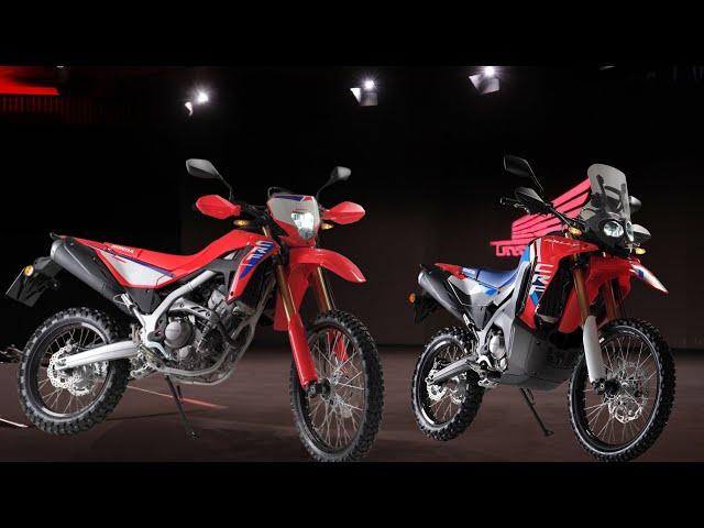 2025 HONDA CRF 300 L AND CRF 300 RALLY  UNVEILED!!