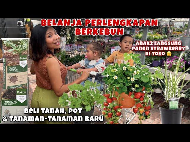 BELANJA PERLENGKAPAN BERKEBUN DAN NAMBAH TANAMAN BARU LAGI