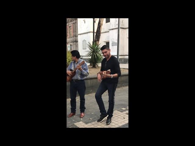 XUCO - LA BAMBA CDMX