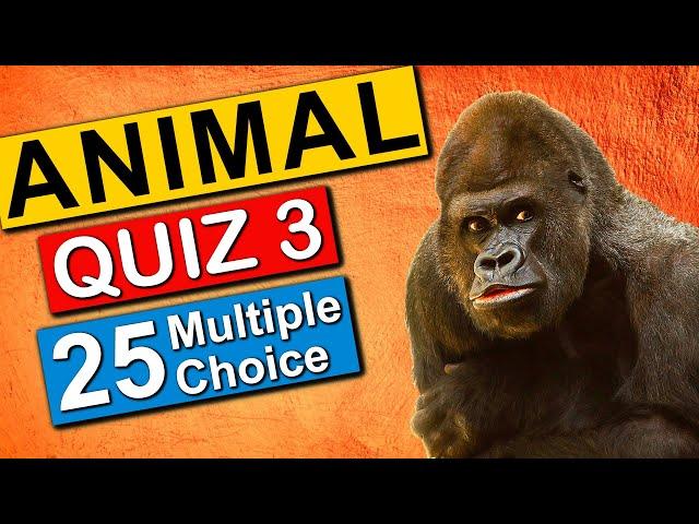 Animal Quiz Multiple Choice [2022] Virtual Trivia Night, Pub Quiz