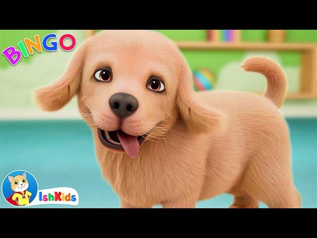 BINGO | Nursery Rhymes & Kids Songs | IshKids | Version 2