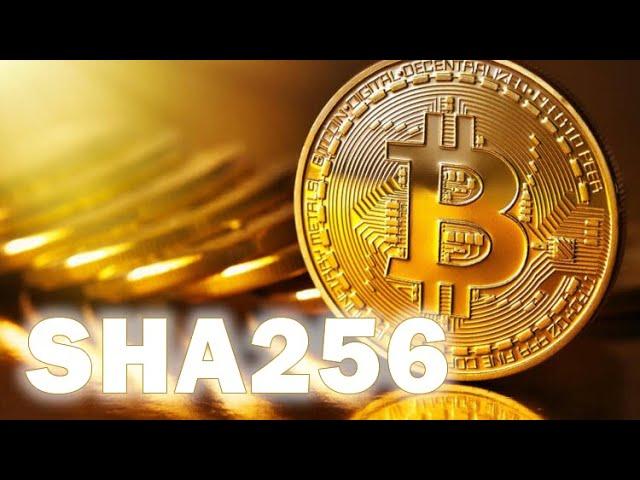 Bitcoin Sisteminin Omurgası SHA256 Özet (HASH) Algoritması