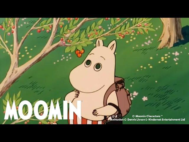 Moomin 90s Marathon | Ep 51-60 | 3 Hours Episode Compilation | Moomin Official