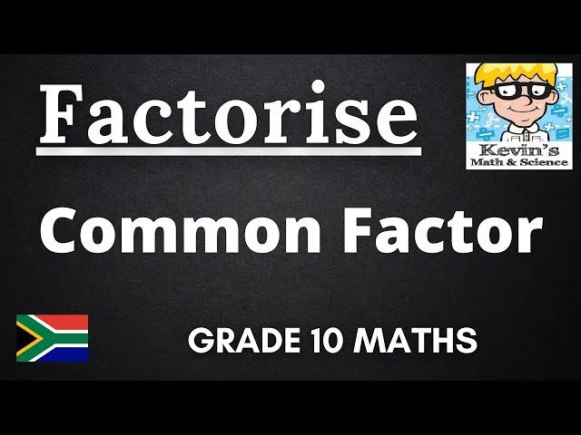 6) Common Factor | factorisation grade 10