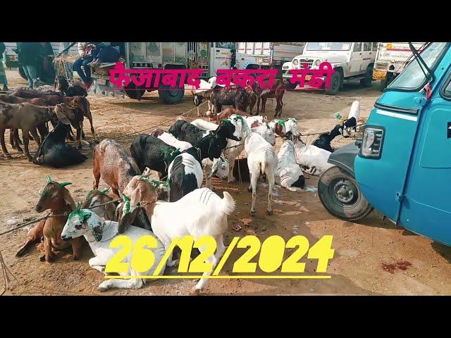 Faizabad Bakra Mandi #bakra #bakrifarm #bakraeidspacial #shorts #youtubevideo